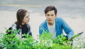 漂亮的李慧珍夏至未至2017年所有的现代爆款剧全在这了
