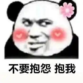 表情包这只妖娆的熊猫馆长快拿走