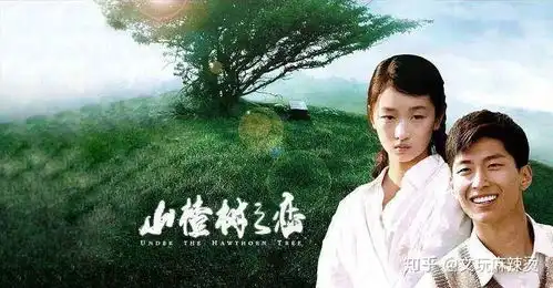 好吃又好看的文玩你见过山楂核包浆什么样吗
