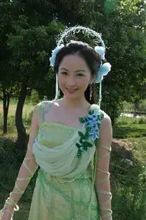 欢天喜地七仙女的起个仙女的服装怎么做图

