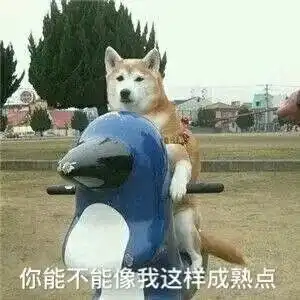 可爱的沙雕朋友圈文案185.0
