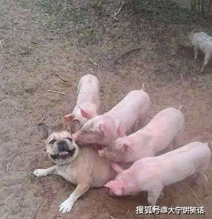 搞笑gif小姐姐不要跳了,你喜欢的小哥哥已经走远了
