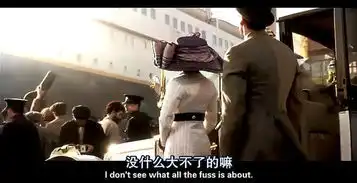 谁有泰坦尼克号rose第一次出场,带那个大帽子的图片
