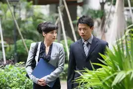 段奕宏2010年大时代

