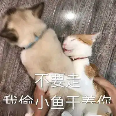 618年中大促大牌服饰3折起姐妹冲啊