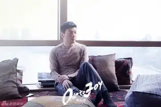 欢乐颂剧照刘涛王凯靳东演个性男女