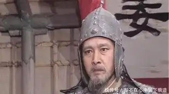 北伐曹魏是诸葛亮的策略,姜维一直遵守,为何诸葛亮的儿子反对
