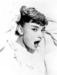 奥黛丽赫本.audreyhepburn.罗马假日.romanholida
