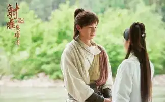 射雕英雄传剧照杨旭文