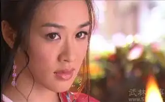 天龙八部康敏为何被称为蛇蝎美人
