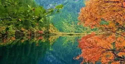 秋天的童话四川十五个红叶区的绚烂美景
