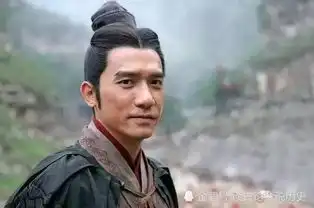 三国时最具有统军能力的名将,只有这四位,其余都不够资格
