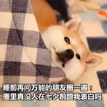 单身狗七夕节表情包青蛙