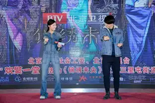 锦绣未央田丽金瀚实力洗白君桃王妍之秀跆拳道