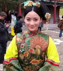 杨幂孙俪张歆艺刘诗诗内地收视女王盘点
