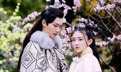 双世宠妃2悲催八王爷重返东岳国,走上漫漫追妻路