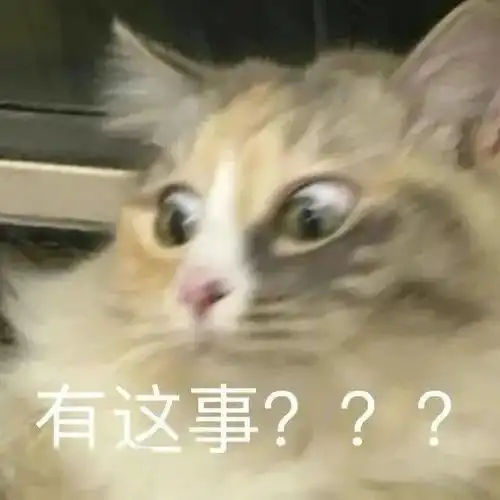 让我看看,可爱沙雕表情包谁不想要