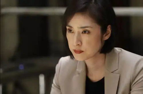陈数黄磊电视剧照片王晓