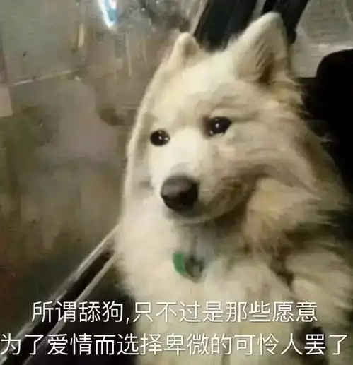 找我表情包舔狗