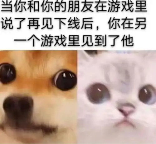 无标题