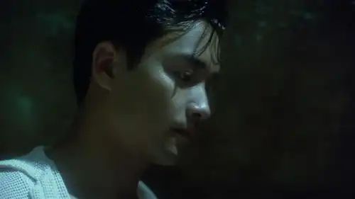 阿飞正传官方剧照

