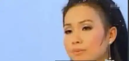越南版小龙女剧照惨不忍睹盘点越南雷人翻拍
