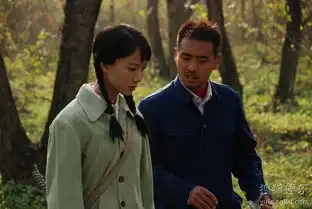 山楂树之恋高潮迭起侯剑甘当护花使者
