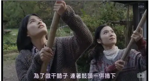 小森林冬春篇