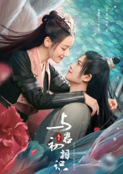 网剧热度第一,与君初相识为何能成网剧中的王炸