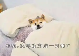 七夕表白征集拯救单身狗真的很有必要