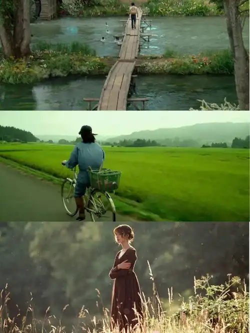 你能砍掉所有的鲜花,但你不能阻止春天的到来

