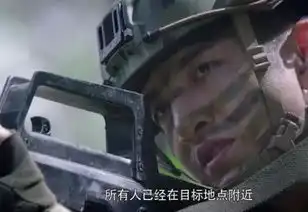 金瀚硬汉赵丽颖小妞中国高糖版太阳的后裔快别逗了