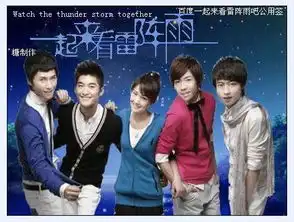 谁有一起来看流星雨的演员剧照要全的
