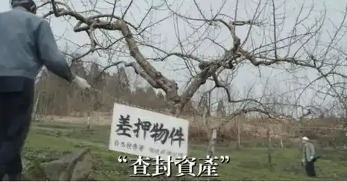 这苹果放两年都不会腐烂,每年只卖2000个,你肯定没有见过

