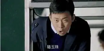 如何评价国产剧鸡毛飞上天
