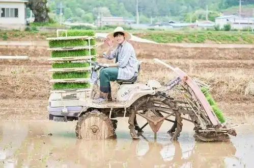 韩国电影小森林一部不能错过的治愈电影
