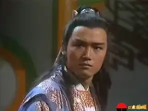 射雕英雄传剧照苗侨伟