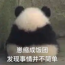 好像发现了什么表情包