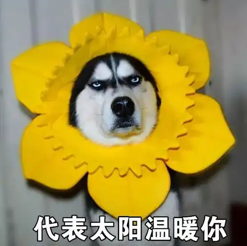 疯狂的亚洲富豪红遍全球,他却被爆出逃新加坡兵役