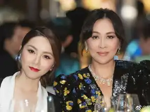 加起来破百岁刘嘉玲邱淑贞同场深v较劲完胜年轻歌手
