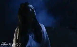 好好的花千骨被越南翻拍成这样网友感叹这是花千鬼吧组图

