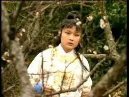 欧阳奋强红楼梦剧照