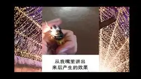 这家打印店求你快关门吧能让你半夜笑出猪声的搞笑图片3