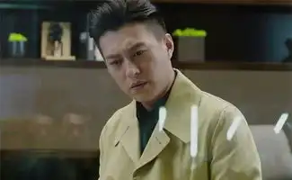 我的前半生2马伊琍确定出演,可靳东弃了,金星说出背后实情
