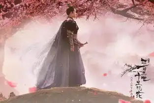 杨洋来杭为电影版三生三世十里桃花做宣传,舒淇素颜探闺蜜,田亮六岁儿子会跳水
