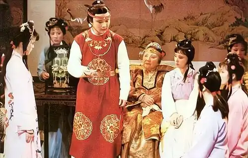 贾政选儿媳,林黛玉和薛宝钗二选一,他私下里跟赵姨娘说出了人选
