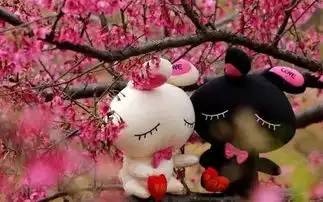 大余丫山浈江樱花上犹陡水湖赣南森林小火车三天游
