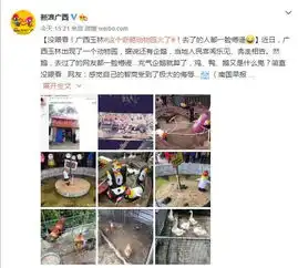 姑娘晨运,突然被男子拖进小树林他被捕后说了一句话,警察不得不把他放了丨新闻早茶
