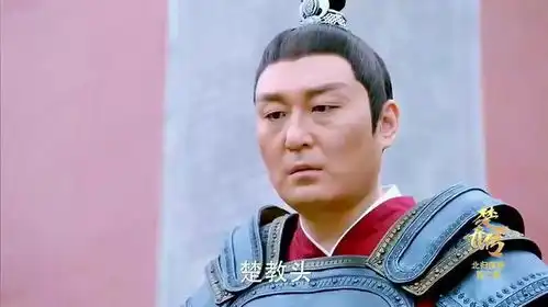 楚乔传楚乔拼命守护贺萧,与贺萧同跪
