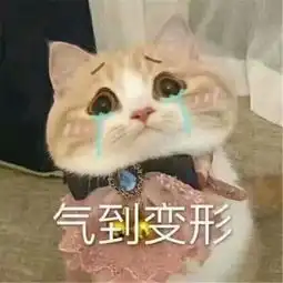 表情包快看,你滑稽搞笑的样子上电视了